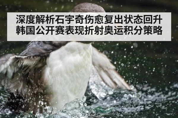 深度解析石宇奇伤愈复出状态回升 韩国公开赛表现折射奥运积分策略