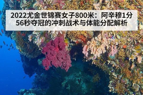 2022尤金世锦赛女子800米：阿辛穆1分56秒夺冠的冲刺战术与体能分配解析