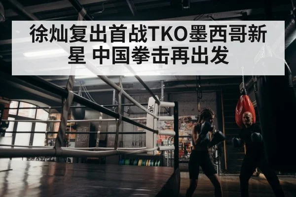 boxer training